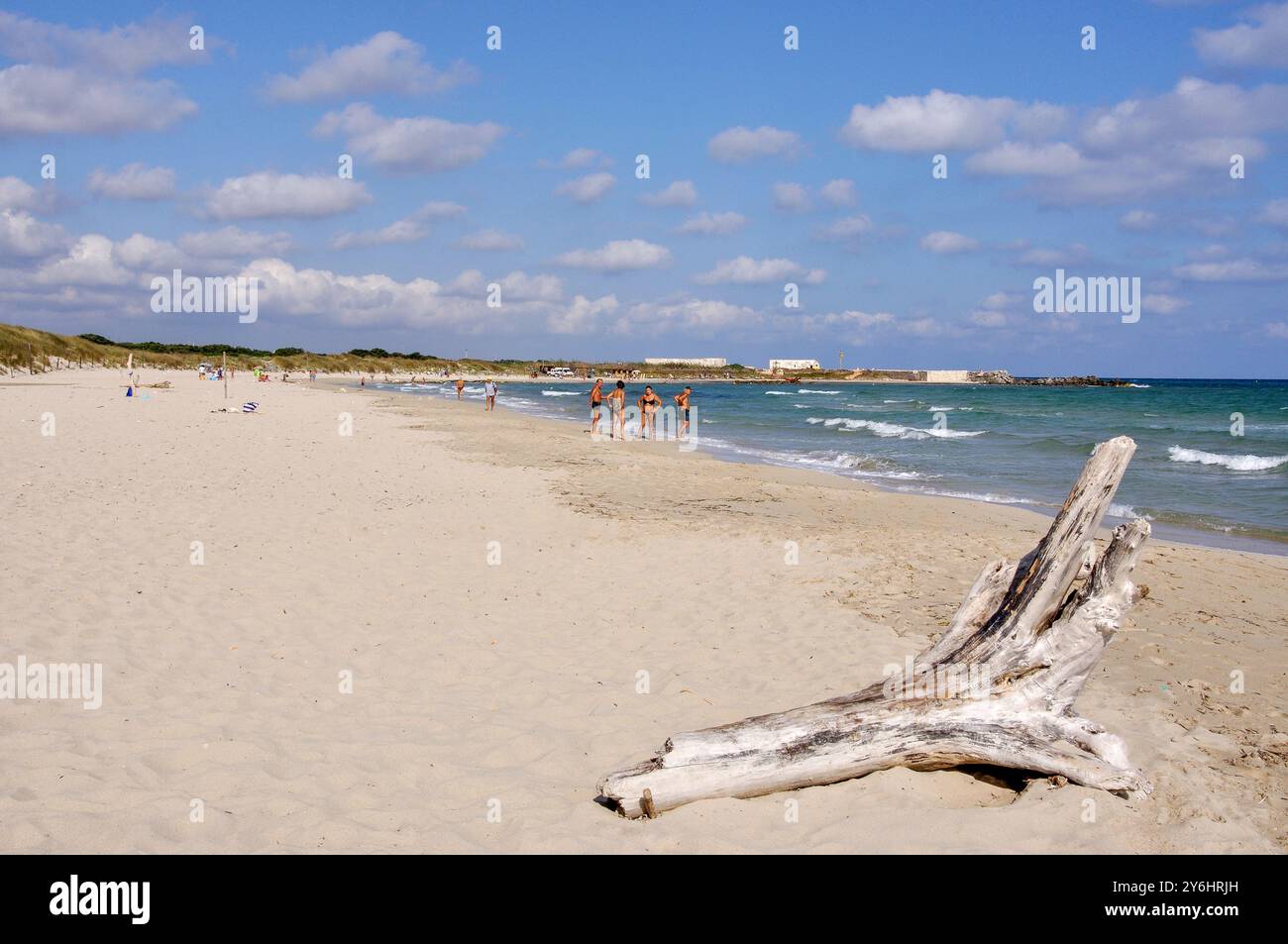 Vista della spiaggia, Torre Guaceto Riserva Naturale della Provincia di Brindisi, Puglia, Italia Foto Stock