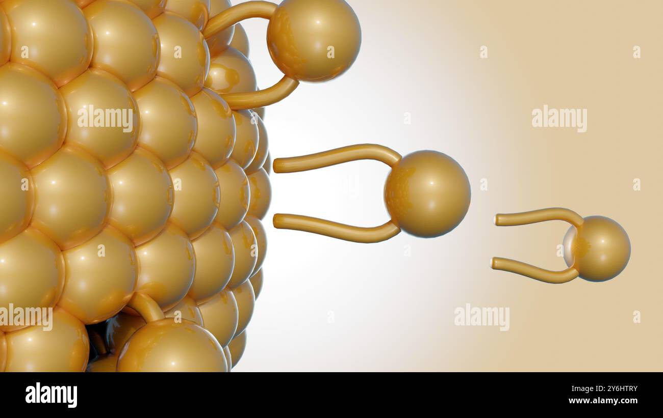 Rendering 3D di una vista ravvicinata di un liposoma costituito da un bilayer lipidico. Foto Stock