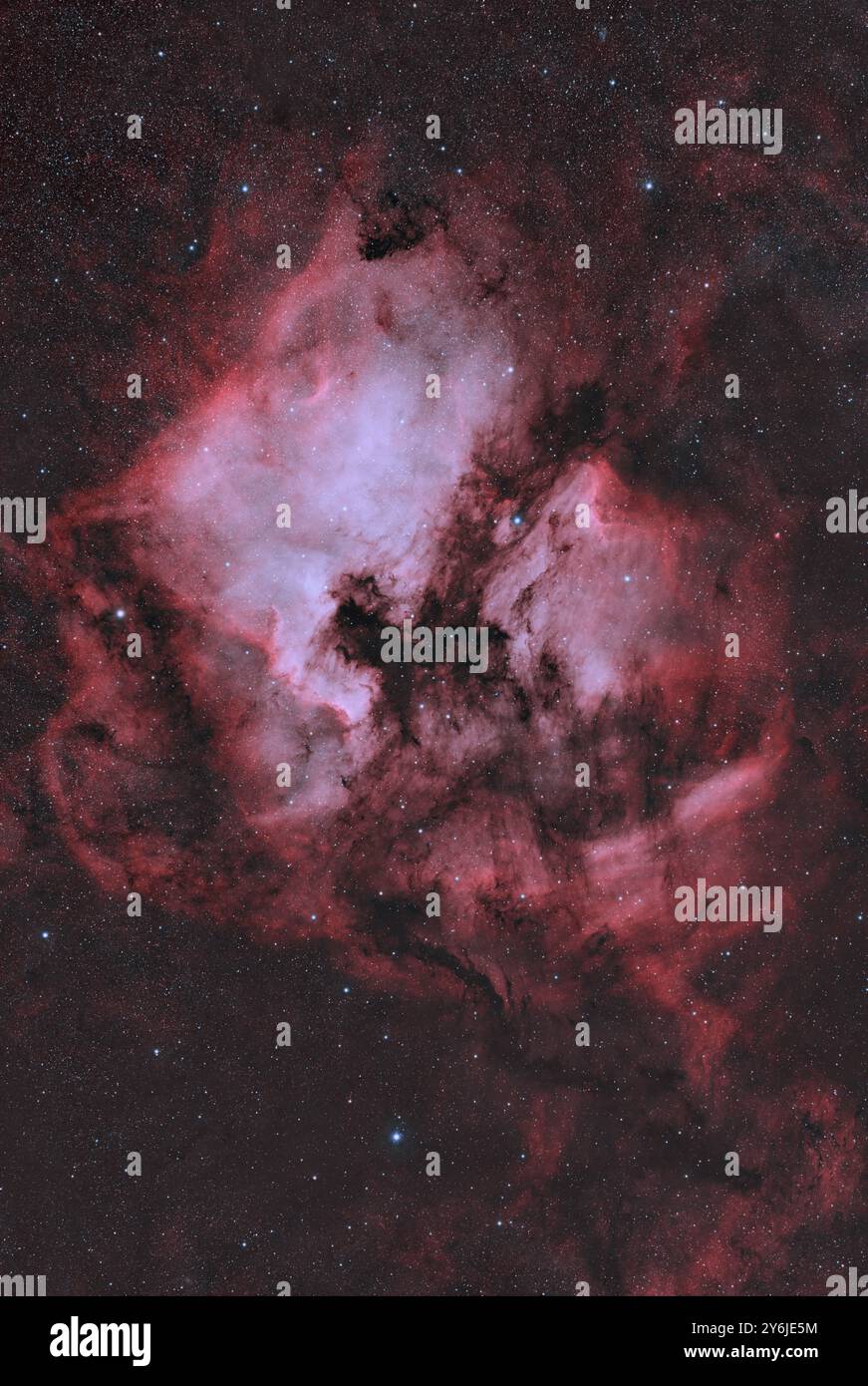 Nord America e Pellicano nebulosa nella costellazione del Cigno Foto Stock