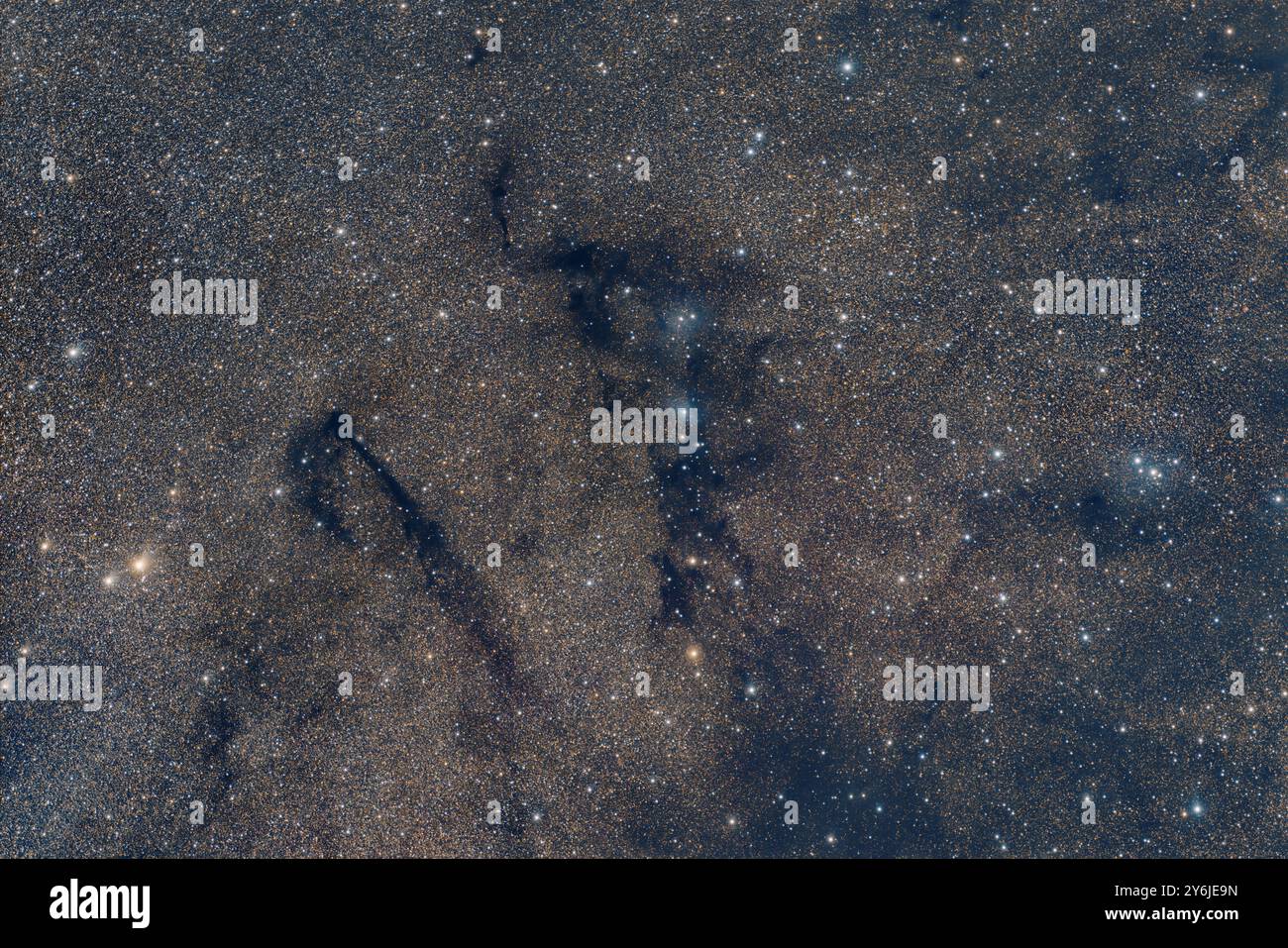 Van den Berg 126 a Vulpecula (VdB126) Foto Stock