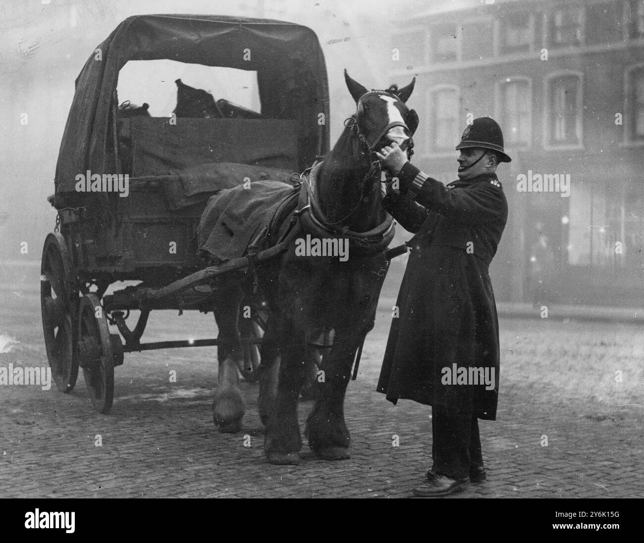 Il poliziotto Kendal Dent East End di Londra ispeziona i denti di un cavallo per vedere se era adatto a lavorare 1930 Foto Stock