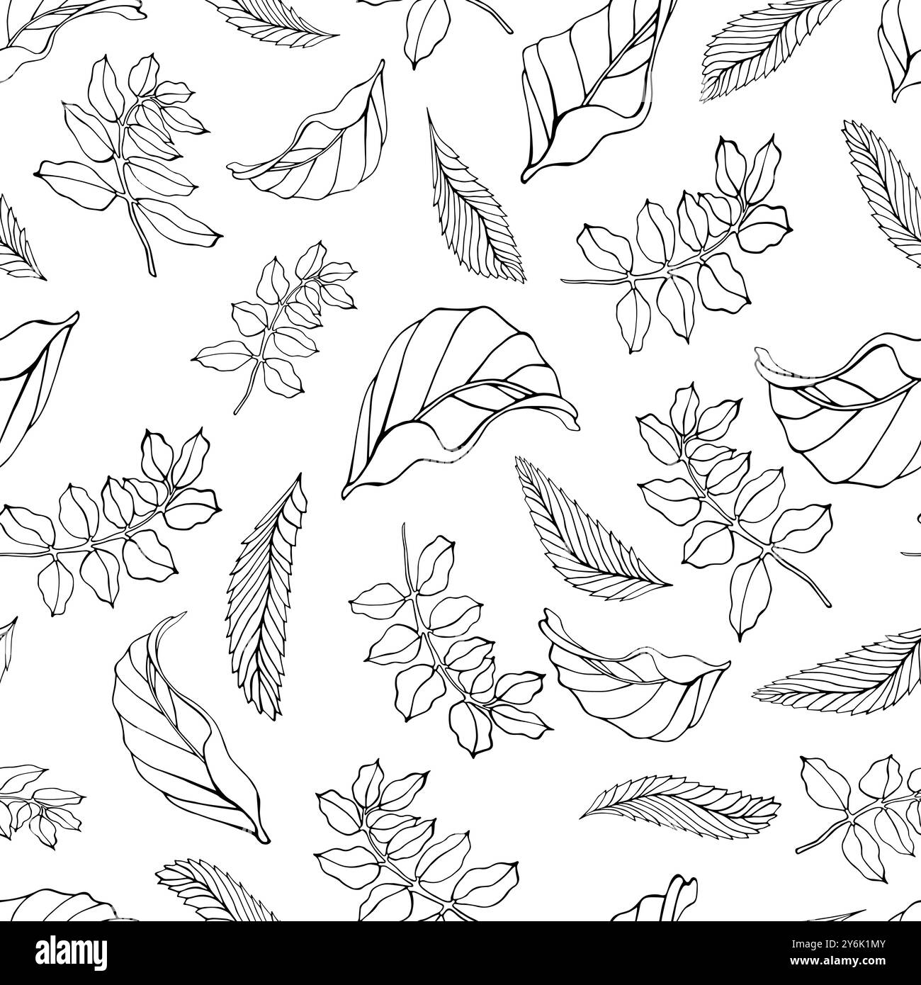 Un motivo bianco e nero senza cuciture di varie foglie contornate. Perfetto per il design e lo sfondo a tema naturale. Adatto per stampa su tessuto, carta da parati, Illustrazione Vettoriale