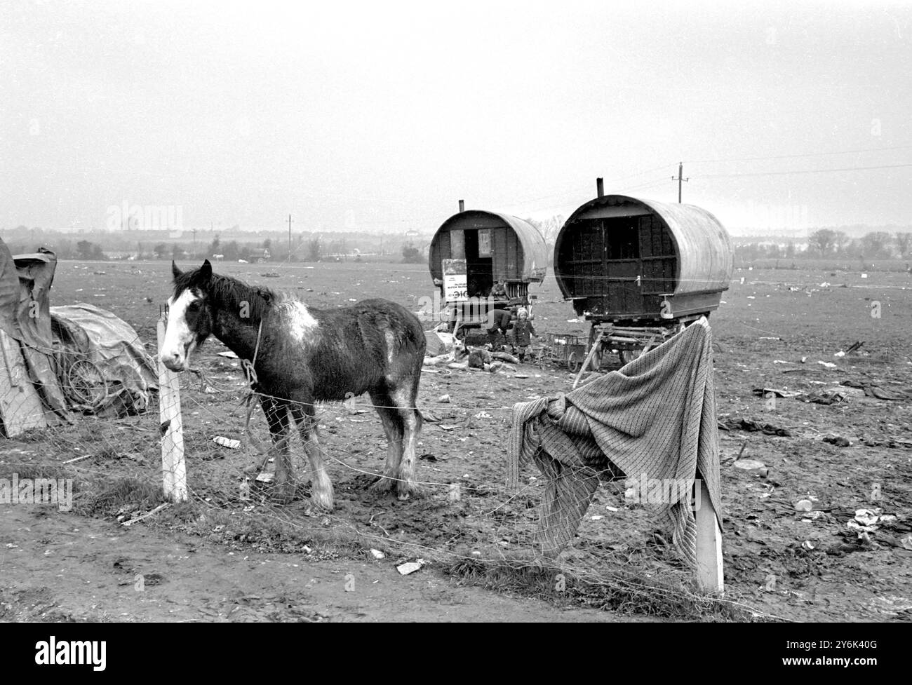 Dublino: I "tinkers" non sono certo romeni, ma nomadi, che vivono in queste antiche carovane. Gestiscono il consueto complemento irlandese dei bambini . 14 maggio 1966 Foto Stock