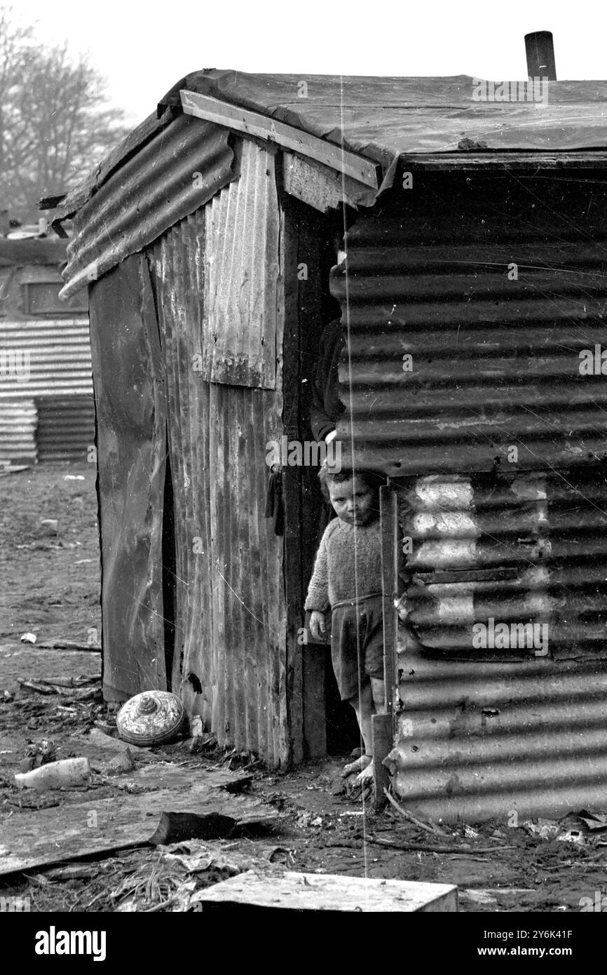 Dublino: Otto e uno a venire. La donna che vive in una baracca in un terreno desolato fuori città ha 8 figli e ne aspetta un altro . 14 maggio 1966 Foto Stock