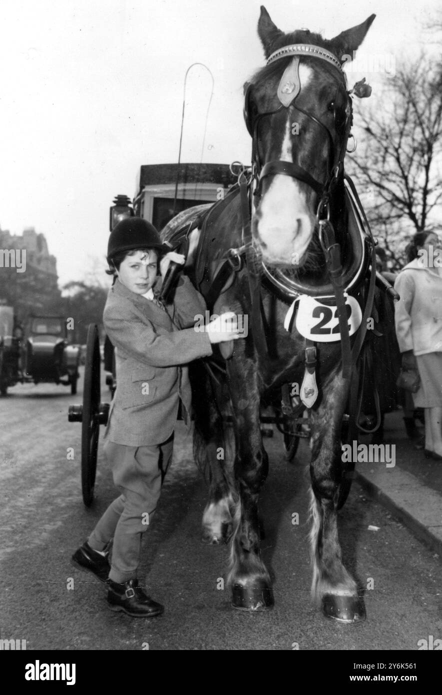Londra Inghilterra - - Annual Bank Holiday Monday Van Horse Parade nel Regent's Park Londra . - Brush Down for Nobby di 9 anni Carol Davies di Notting Hill. - 6 aprile 1958 Foto Stock