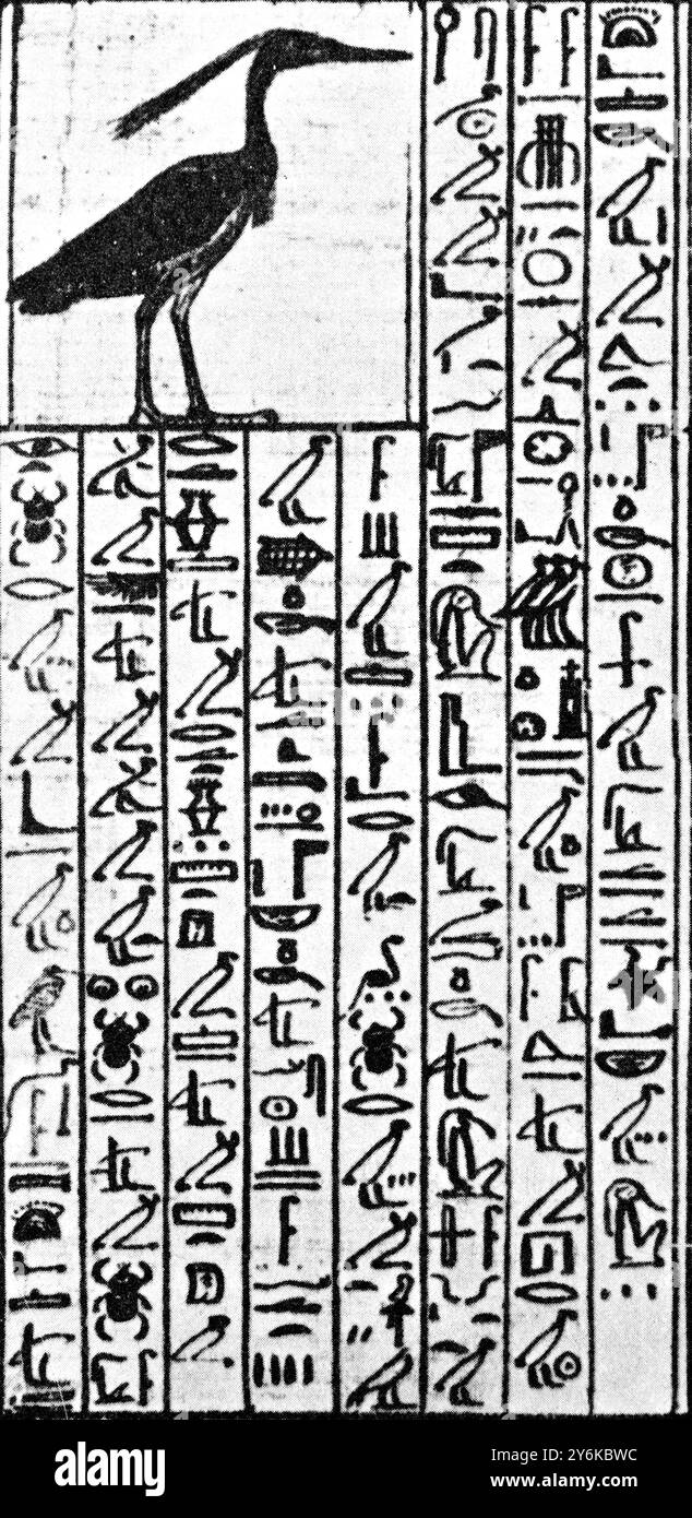 Libro dei morti. Dalla tomba dell'architetto reale Kha (Deir el-Medina). 1400 A.C. xviii dinastia. Foto Stock