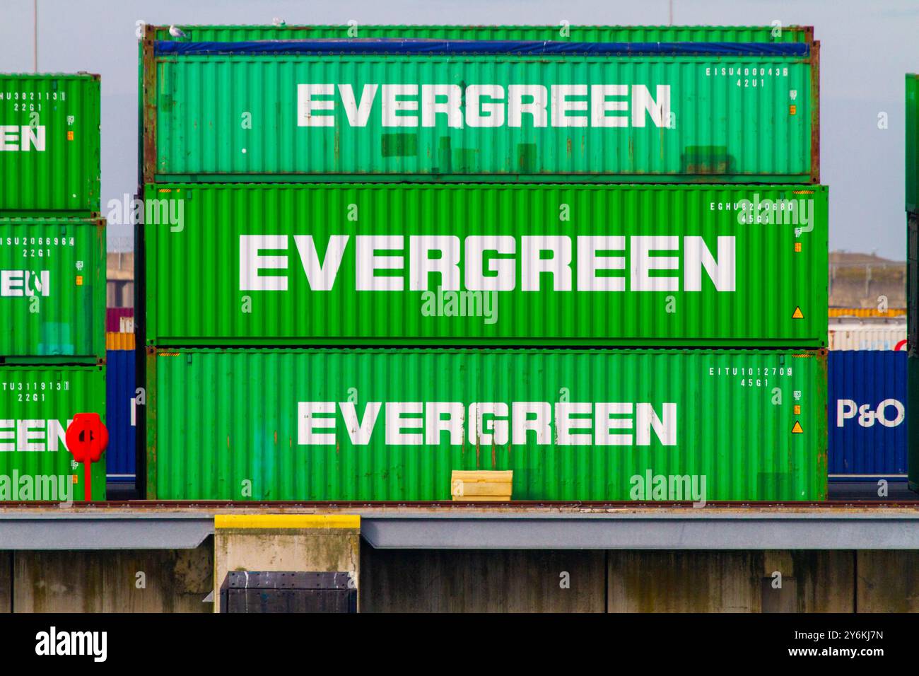 Europa, Belgio, Fiandre occidentali, Zeebrugge. Porto di Bruges-Zeebruges. Evergreen Foto Stock