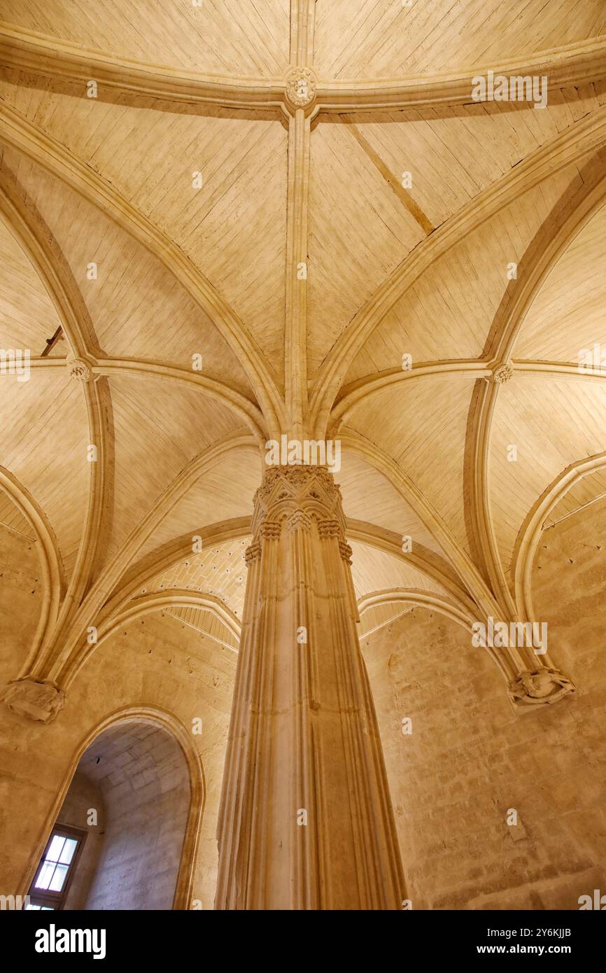 Francia parigi. Val de Marne. Vincennes. Castello di Vincennes. La sala del consiglio. Foto Stock
