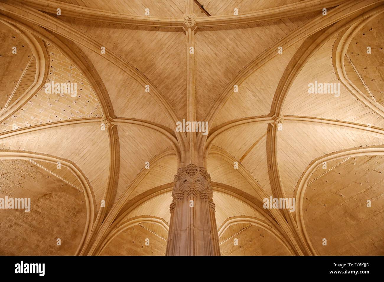 Francia parigi. Val de Marne. Vincennes. Castello di Vincennes. La sala del consiglio. Foto Stock