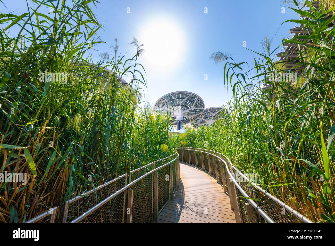 Emirati Arabi Uniti, Dubai, Expo 2020. Il padiglione Terra dedicato alla sostenibilità. Installazione di pannelli solari Foto Stock