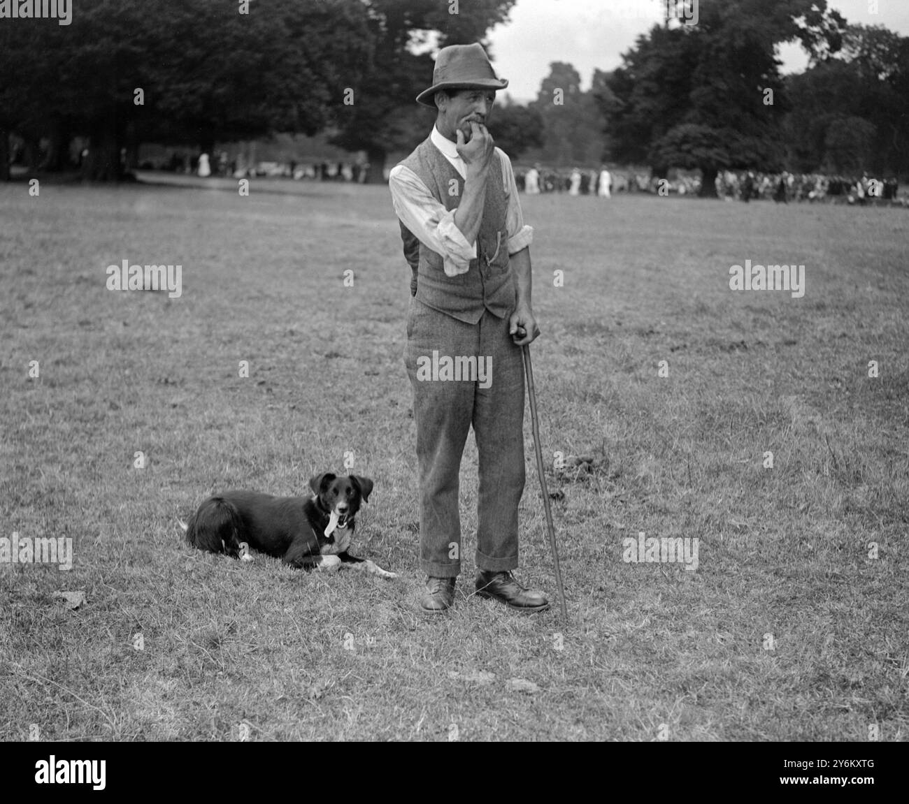 Processi per cani da pastore a Bletchley. Il signor M. Hayton lavora due cani per linguaggio fischietto. 12 agosto 1921 Foto Stock