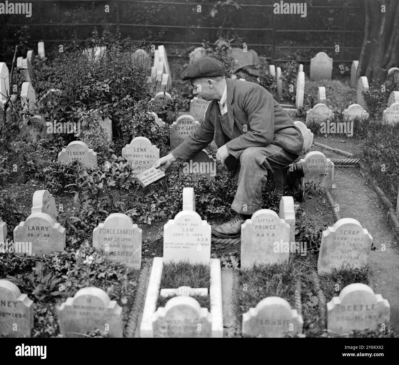 The Dog Cemetery, Victoria Gate, Hyde Park Londra 18 agosto 1925 Foto Stock