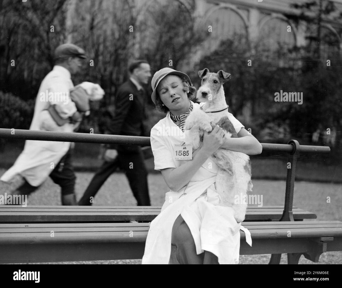 Metropolitan and Essex Canine Society's Show al Crystal Palace di Londra. Miss J. Abel con il suo Fox Terrier "Tanyard Thriller", vincitore di oltre 50 1° in due mesi, e 3 1° in questo spettacolo. 1933 Foto Stock