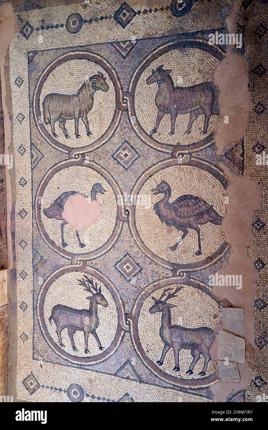 Giordania, Medio Oriente, Petra, antichi mosaici bizantini nel sito archeologico di Petra del V secolo dopo Cristo Foto Stock