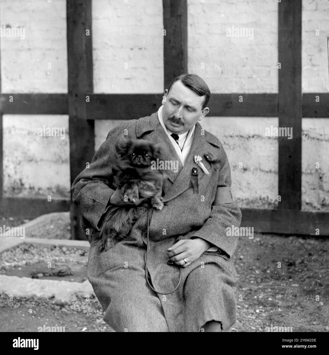 Spettacolo al Pekin Palace di Ranelagh. C. Farnley Brown, unico espositore maschio con la sua "Shirra Poyang" pekinese, due per primo e un secondo. 18 marzo 1921 Foto Stock