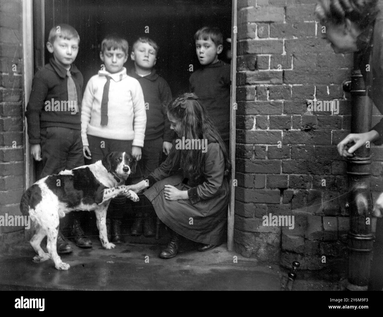 Il cane "Billy", la direttrice della St Paul's School, Kingston Hill, ha raccolto 125 sterline per War Charities. 20 gennaio 1919 Foto Stock