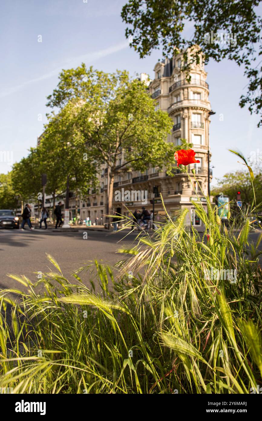 France, Paris, 75, 12th District, Avenue de Saint Mande, Square Courteline, maggio 2023. Foto Stock