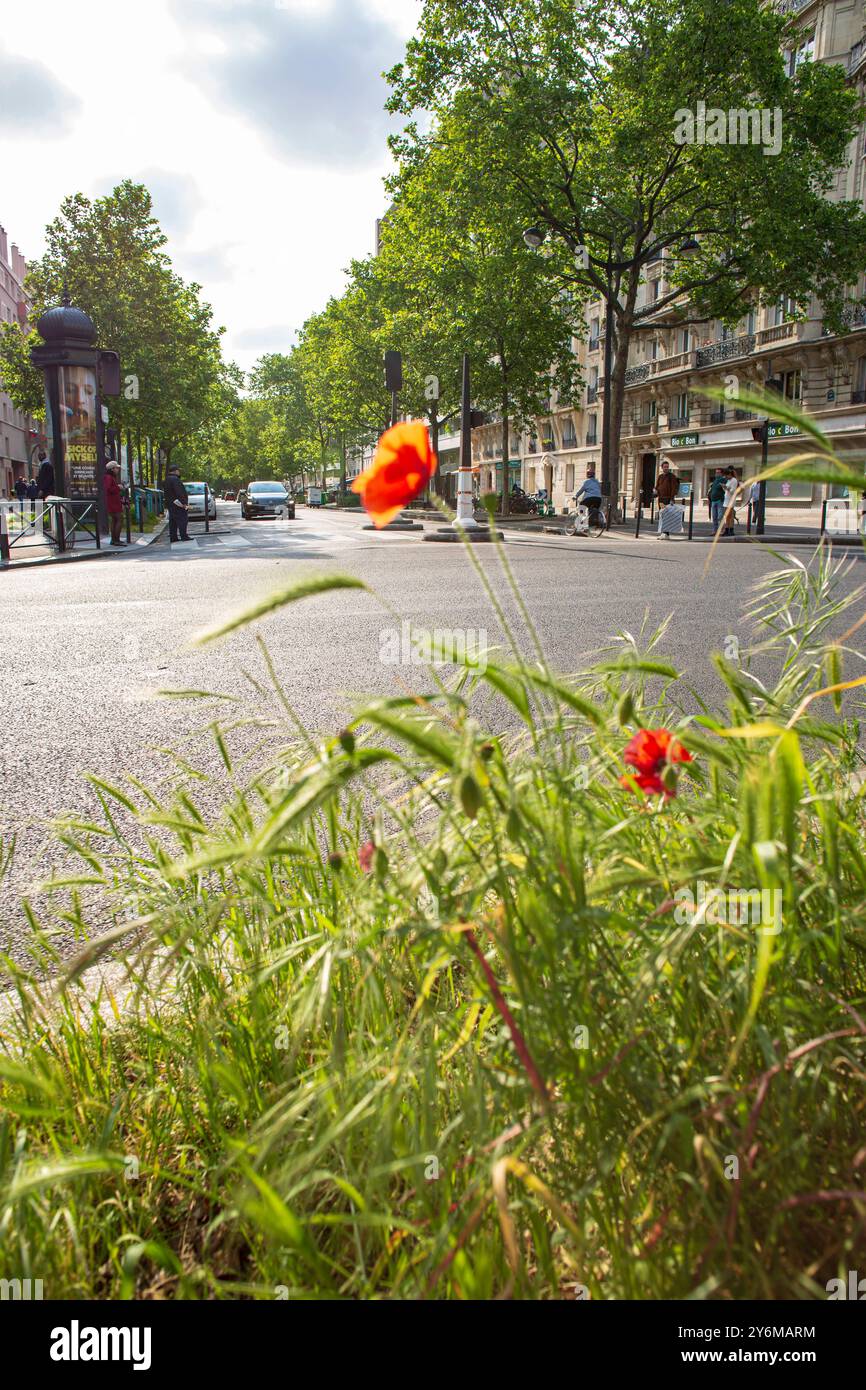 France, Paris, 75, 12th District, Avenue de Saint Mande, Square Courteline, maggio 2023. Foto Stock