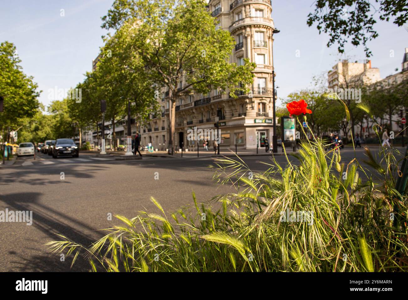 France, Paris, 75, 12th District, Avenue de Saint Mande, Square Courteline, maggio 2023. Foto Stock