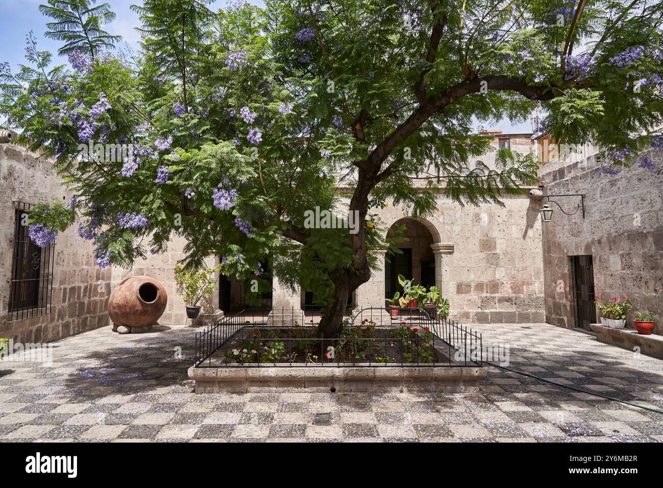 Un tranquillo cortile ad Arequipa, Perù, caratterizzato da un albero di jacaranda in fiore e da un'architettura rustica in pietra. L'ambiente tranquillo evoca un senso di istoria Foto Stock