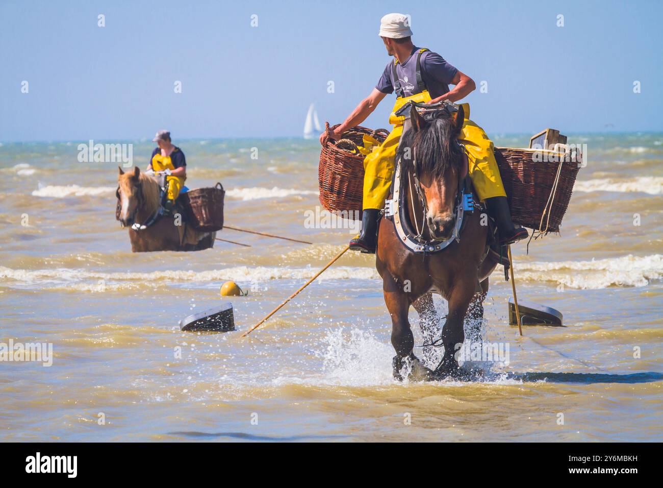 Belgio, Fiandre occidentali, Koksijde, Oostduinkerke; pesca di gamberi a cavallo Patrimonio culturale immateriale dell'umanità dell'UNESCO Foto Stock