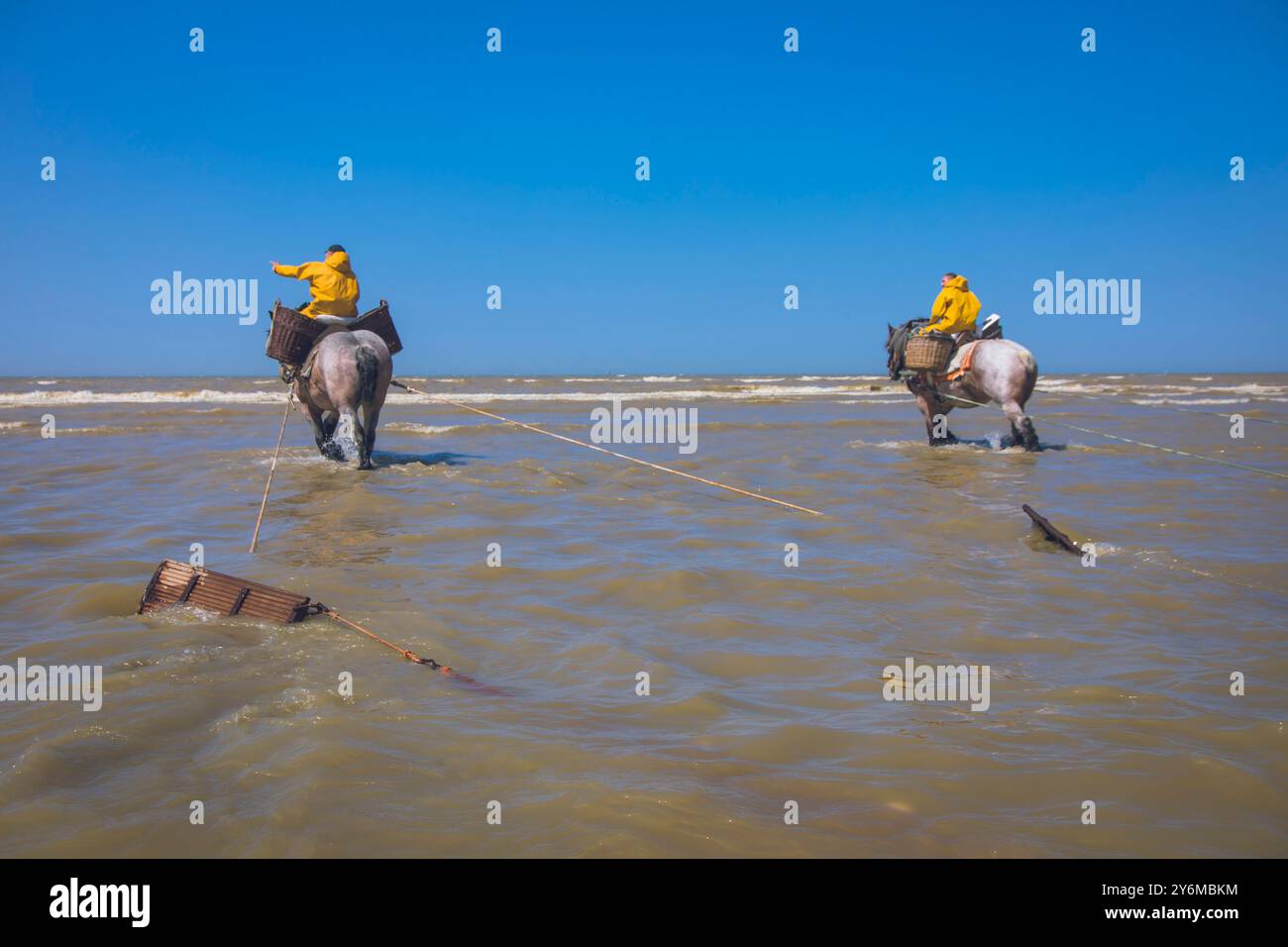Belgio, Fiandre occidentali, Koksijde, Oostduinkerke; pesca di gamberi a cavallo Patrimonio culturale immateriale dell'umanità dell'UNESCO Foto Stock