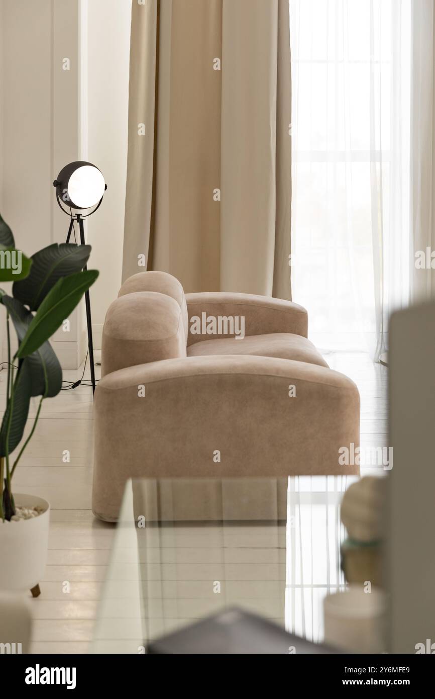 Lussuoso soggiorno con pavimento in parquet laminato di legno bianco con divano beige, tavolino da caffè, pianta interna alla luce del sole dalla finestra sul lato del cortile. Inter Foto Stock