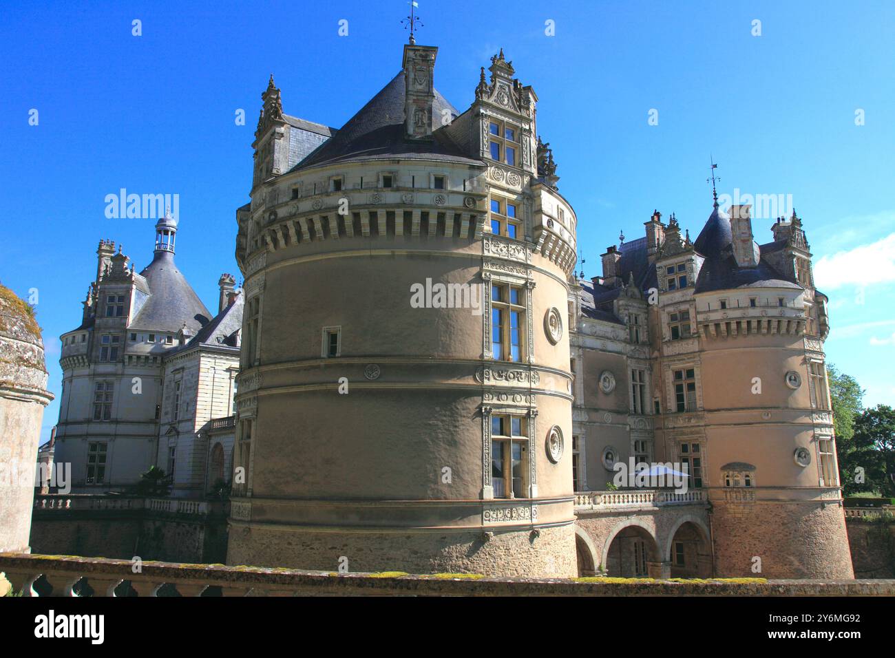 Francia, Pays de la Loire, dipartimento di Sarthe (72), castello di le Lude Foto Stock