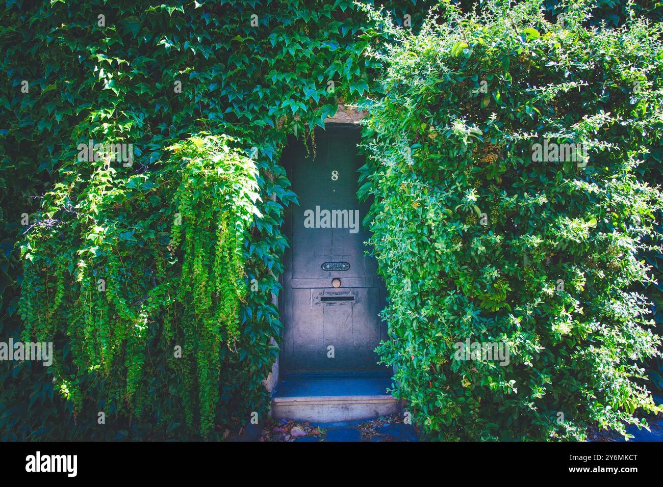 Francia, ile-de-France, Parigi, Montmartre, Rue de l'Abreuvoir Foto Stock