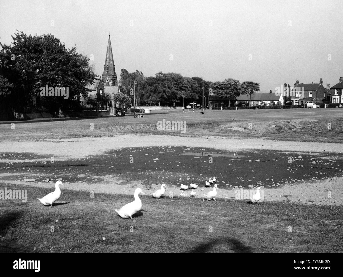 Il tempo era bello, ma non per le anatre si è seccato lo stagno del villaggio di Wrea Green Lancashire. Lo stagno si è asciugato per la prima volta nella memoria viva il 6 ottobre 1959 Foto Stock