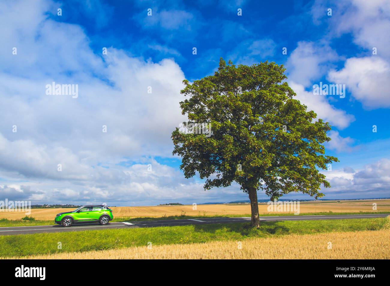 Albero isolato contro un cielo blu sul lato di una strada, passa un'auto verde Foto Stock
