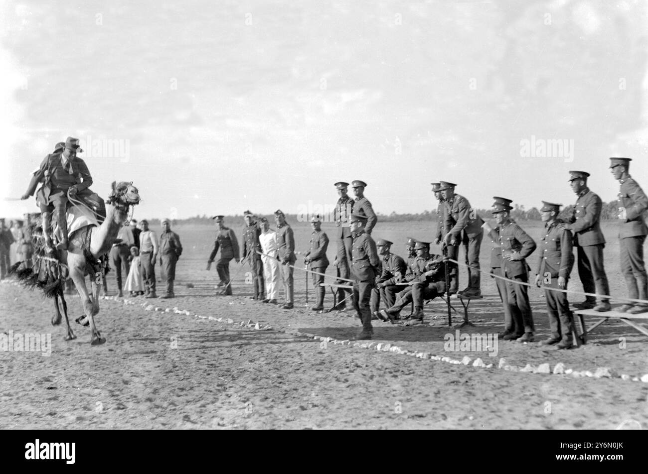 La stagione del Cairo. gymkhana militare nel deserto detenuto dal reggimento del duca di Wellington nel loro campo vicino alle piramidi. La corsa di cammelli per "Jockey and Lady Passenger" Miss Lonsdale e il Cumberleg dirigono con successo la loro "nave" fino alla posta e finiscono da soli. Febbraio 1925 Foto Stock