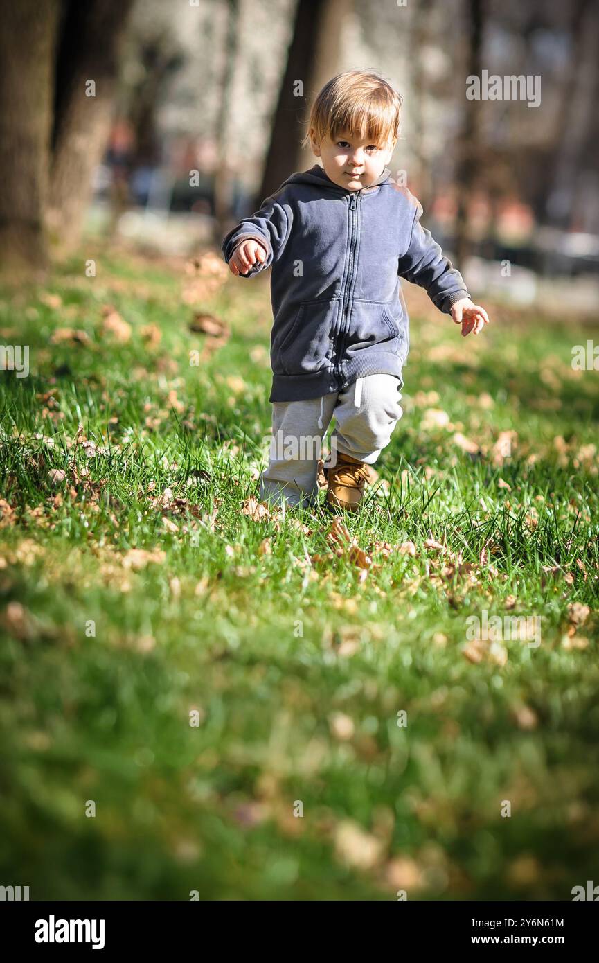 Un bambino corre energicamente attraverso un vivace prato verde disseminato di foglie cadute, godendosi la bellezza della natura in una giornata di sole nel parco. Foto Stock