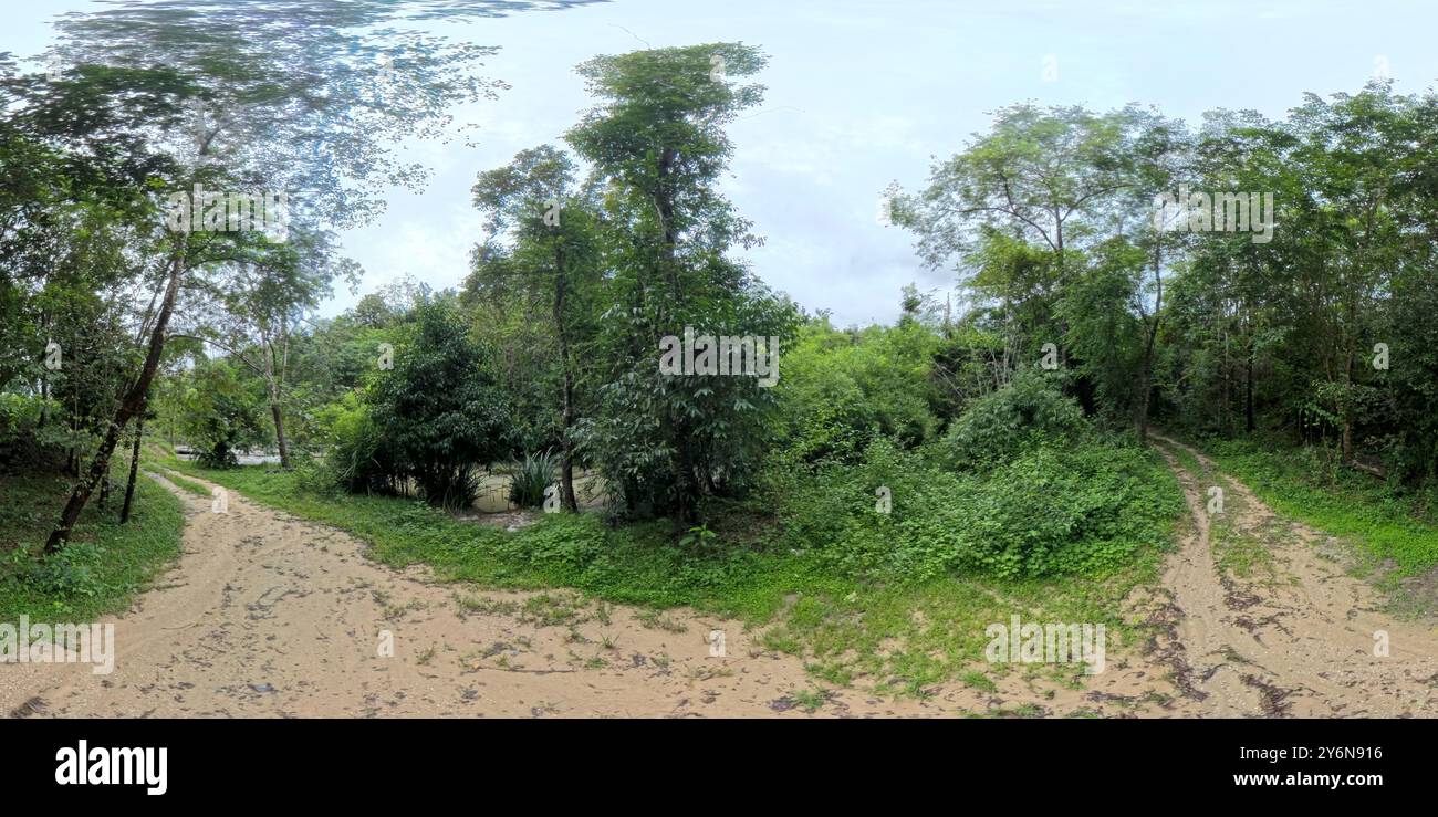 Vista panoramica di un sentiero deserto con alberi tropicali in un parco di montagna nella stagione delle piogge. Foto Stock