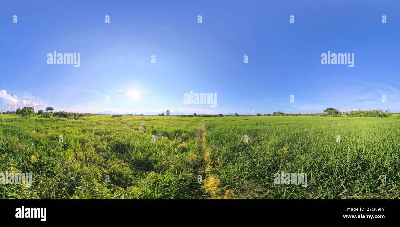 Vista panoramica dei pascoli rurali nella stagione delle piogge. Foto Stock