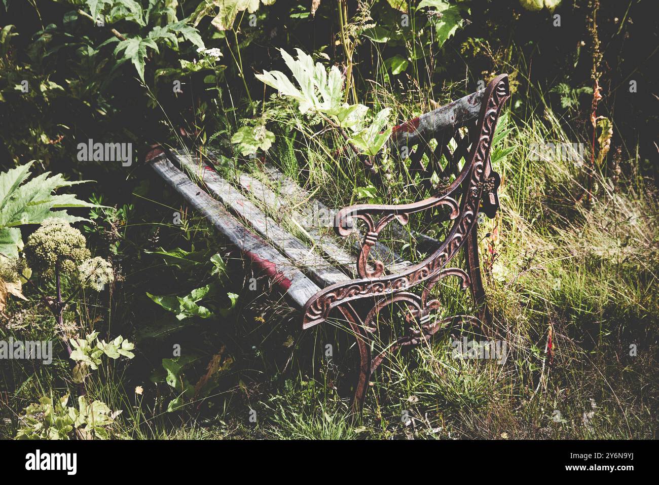 Vecchia panca pubblica in legno e metallo ricoperta di vegetazione Foto Stock