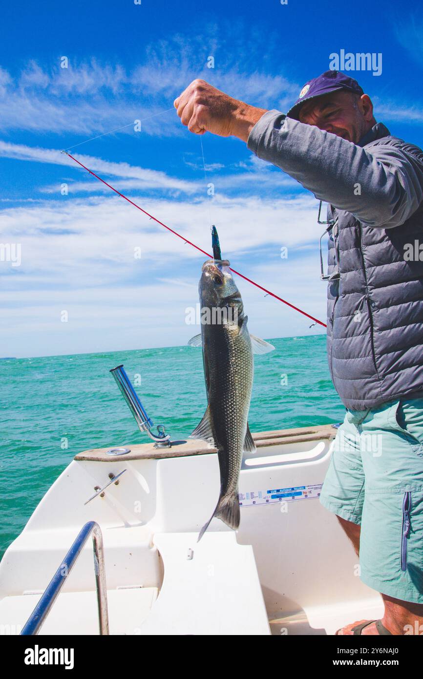 Pesca di spigola nello stretto di Pas-de-Calais. Allure Foto Stock