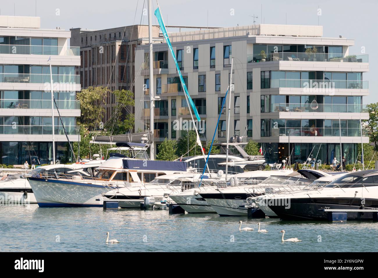 Cigni e yacht il Marina Yacht Park di Gdynia, Polonia, Europa, UE Foto Stock