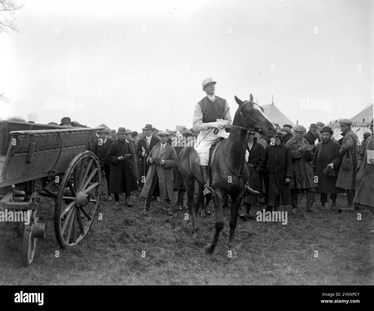 Oxford University Point-to-Point . On R.H. Winn su "Spanish Gold" nella Varsity Grind Challenger Cup. 9 marzo 1921 Foto Stock