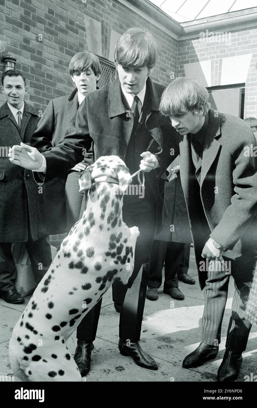 New York: Cercando di fare amicizia con dice," il dalmata, che si è rivelato un fan indisciplinato, i tre Merseyside Lads, (sinistra-destra) Paul McCartney, John Lennon e Ringo Starr incontrano dice mentre andavano a visitare Central Park. Ha fatto un'apparizione all'ed Sullivan T.V. Show ieri sera, 10 febbraio 1964 Foto Stock