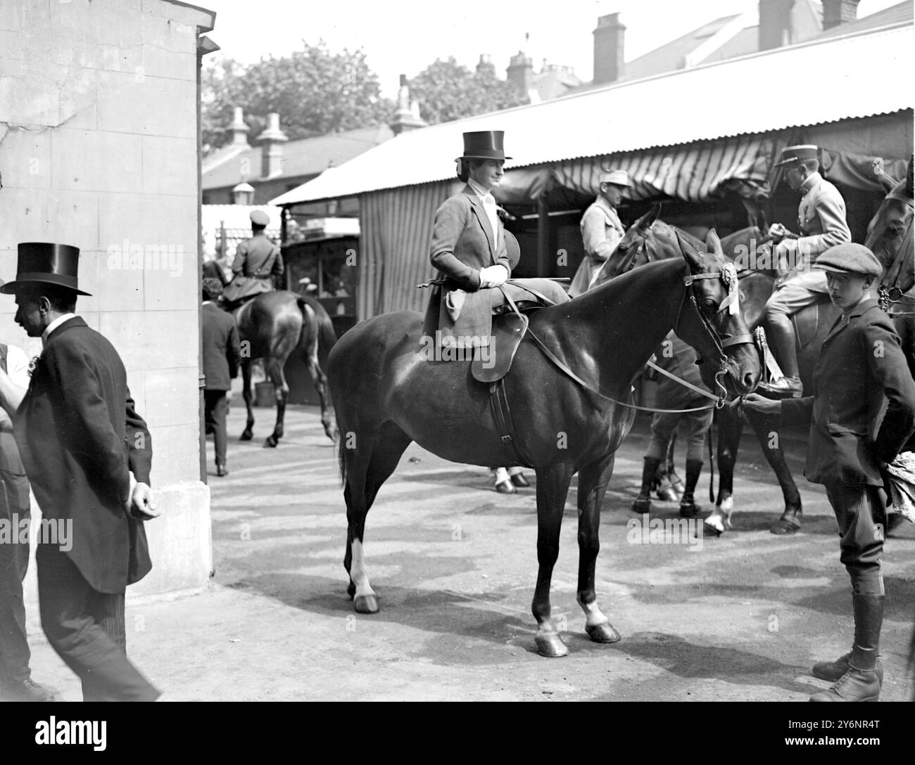 Esposizione internazionale di cavalli all'Olympia. La signora Faudel Phillips, che ha vinto il primo premio per hack oltre 12,7 mani e anche per hack da donna. 22 giugno 1920 Foto Stock