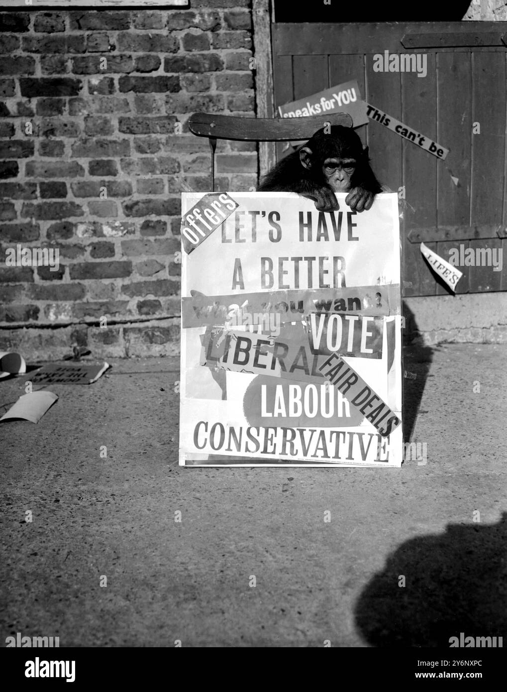 Chessington, Surrey: Per chi diavolo sono io? Chumley il campanello allo zoo di Chessington è all'altezza dei suoi trucchi cercando di confondere la questione con le elezioni generali. Ottobre 1959 Foto Stock
