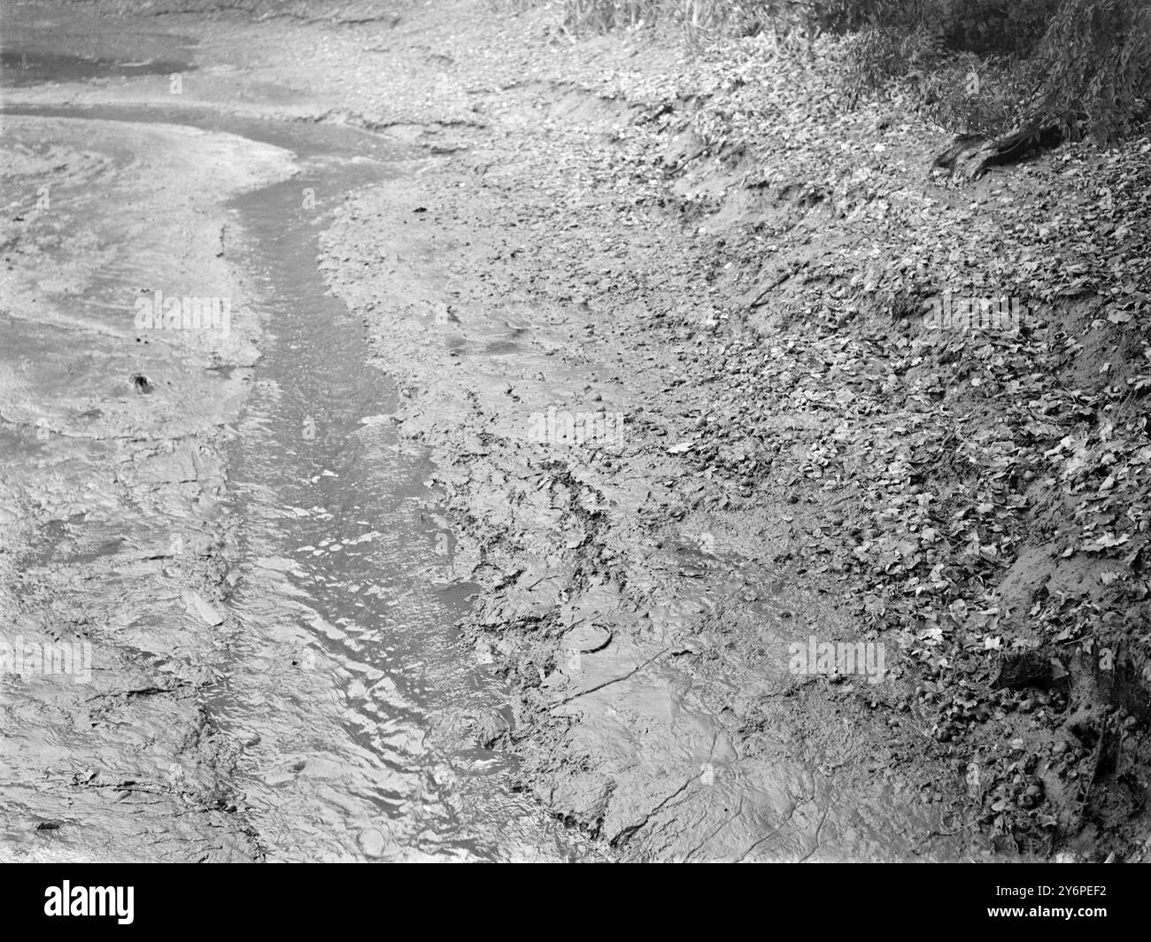 Inquinamento del fiume Coow . Gennaio 1947 Foto Stock