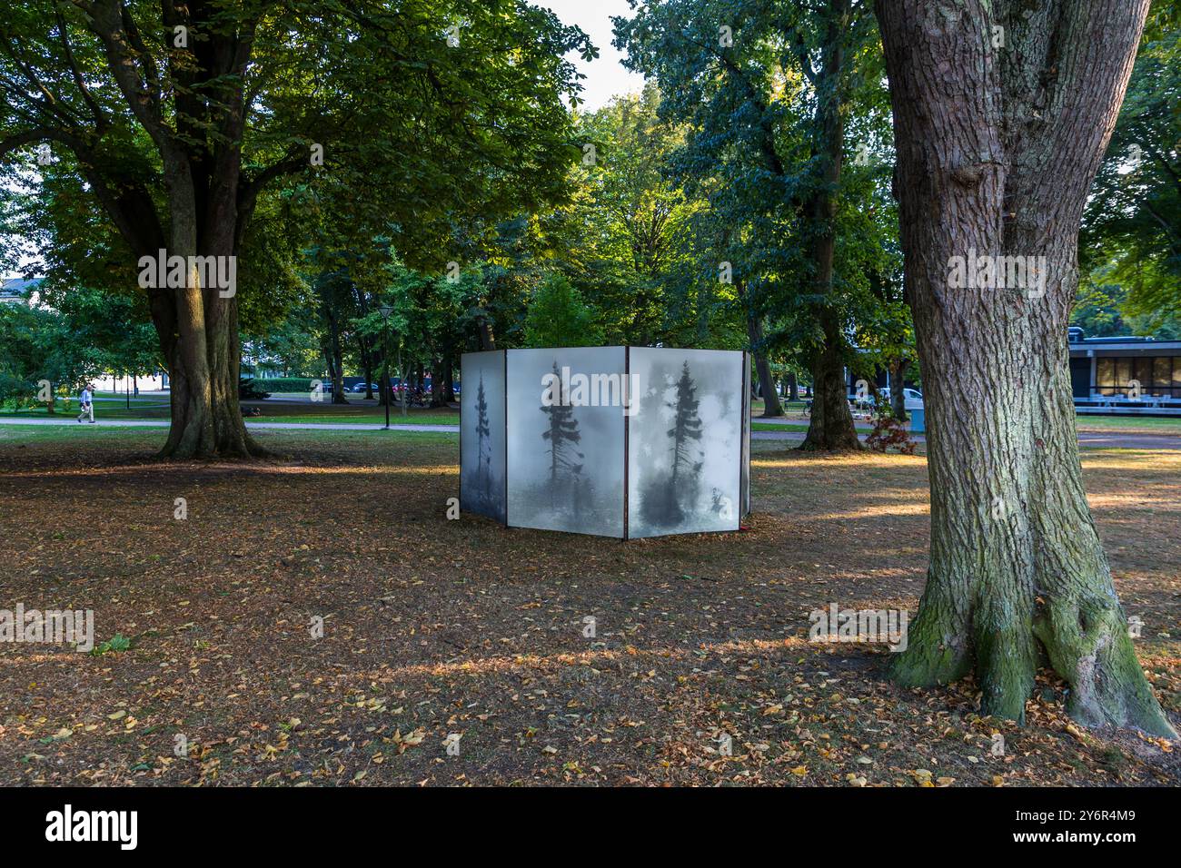 Foto dell'artista danese Nicolai Howalt per il Landskrona Photo Festival 2024. La foto in grande formato nel parco del Landskrona Art Museum mostra "Old Tjikko, un abete rosso di circa 9.566 anni nella provincia svedese di Dalarna. Citadellstaden, Landskrona kommun, Skåne, Svezia Foto Stock