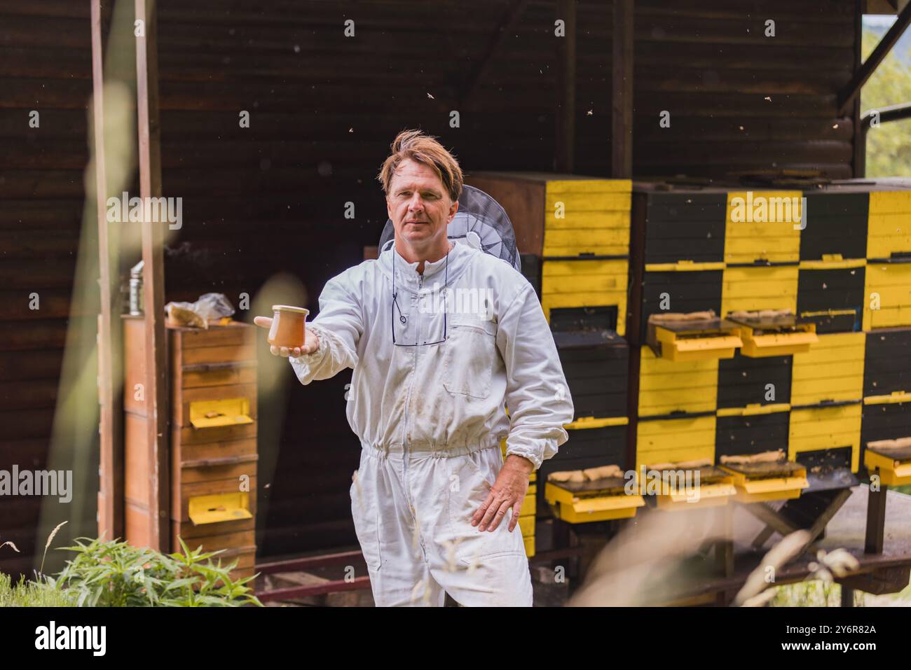 Ritratto di apicoltore che lavora raccogliere il miele all'alveare Foto Stock