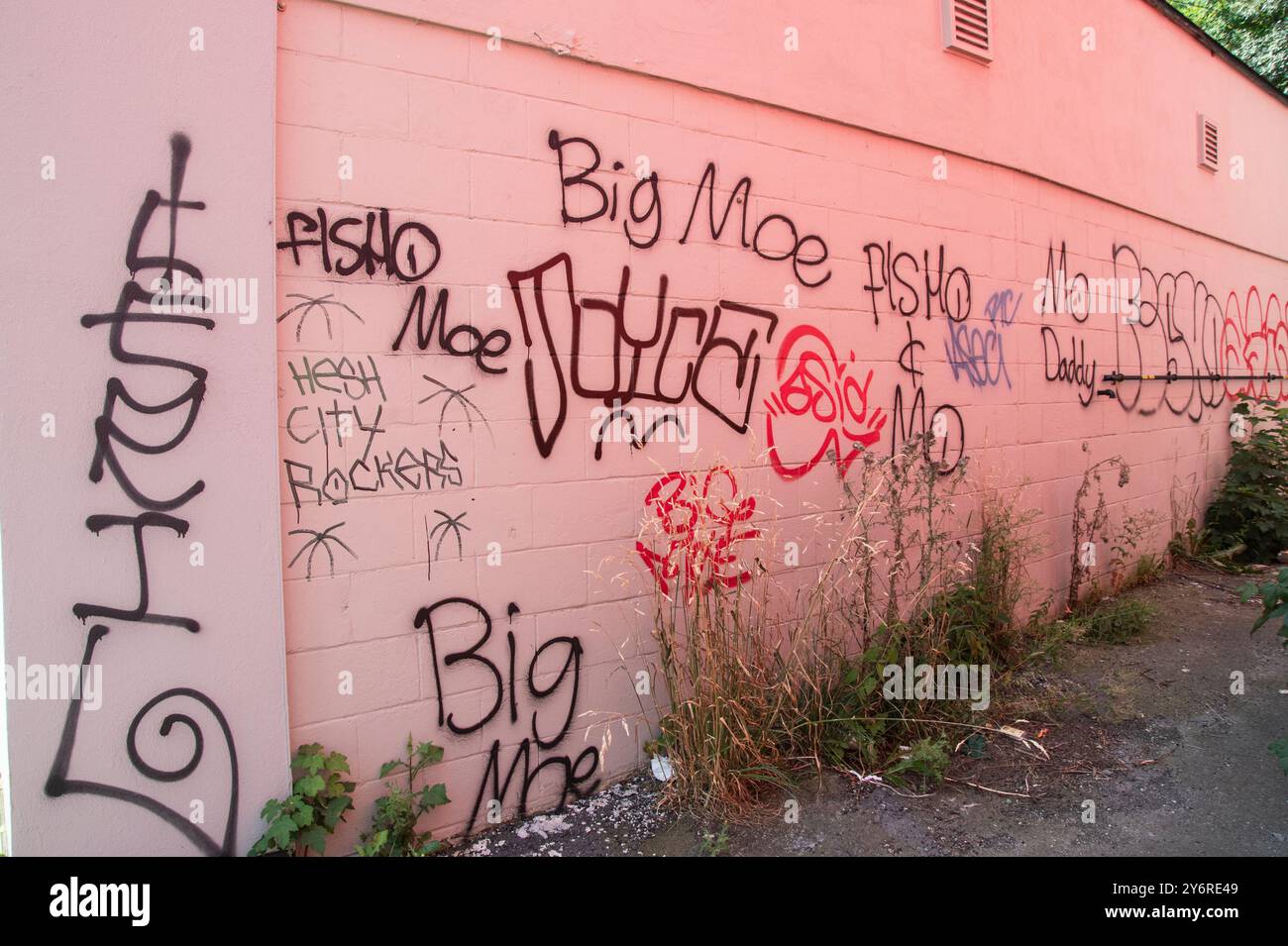 Graffiti apposti su un edificio in un vicolo nel centro di St. John's, Newfoundland & Labrador, Canada Foto Stock