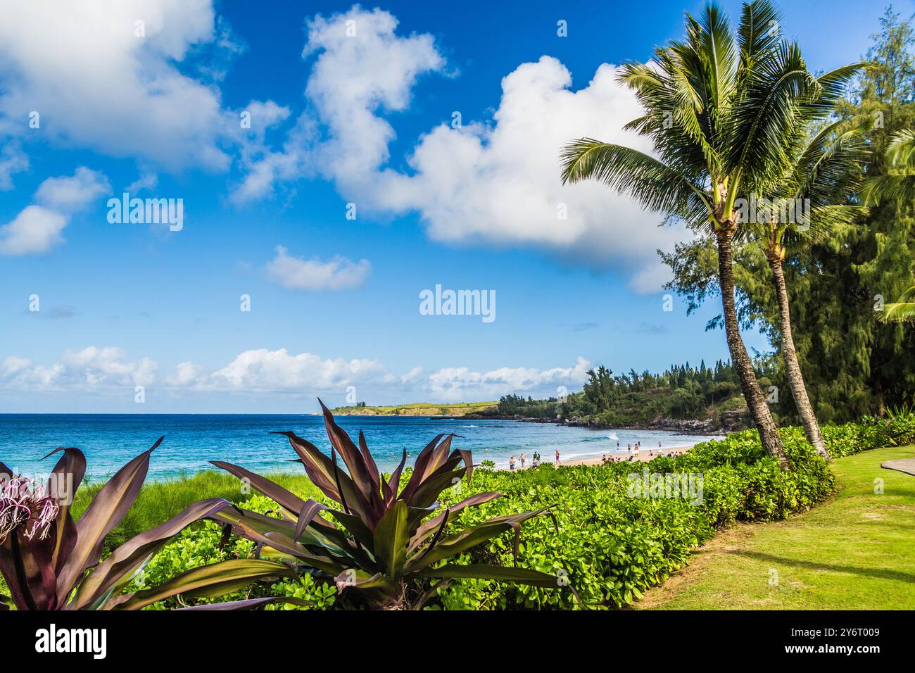 Paesaggio costiero tropicale a Maui, Hawaii, con palme, vegetazione verde rigogliosa, spiaggia sabbiosa e Pacifico blu sotto un cielo blu luminoso Foto Stock