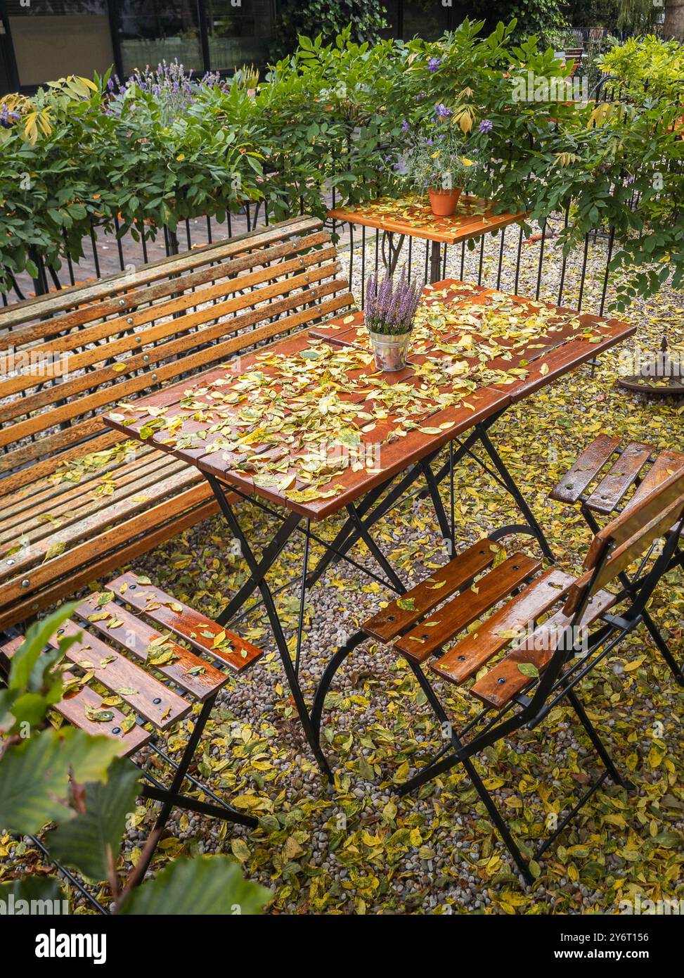 Un'accogliente scena autunnale a Leida, Paesi Bassi, con posti a sedere all'aperto con tavoli e sedie in legno cosparsi di foglie cadute, vicino a un sere Foto Stock