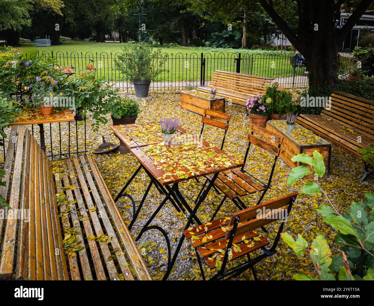 Un'accogliente scena autunnale a Leida, Paesi Bassi, con posti a sedere all'aperto con tavoli e sedie in legno cosparsi di foglie cadute, vicino a un sere Foto Stock