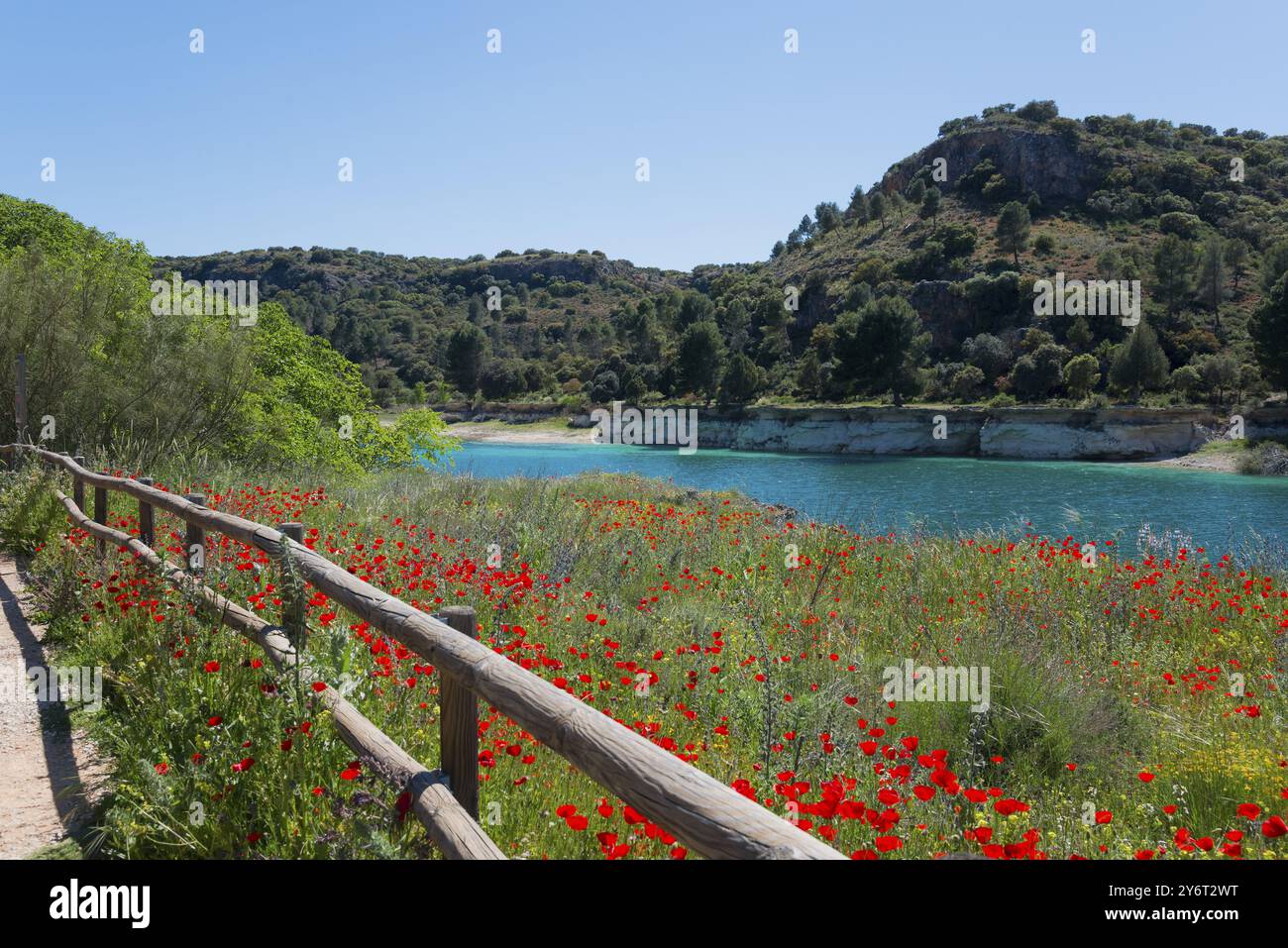 Un sentiero di prati fioriti che si affaccia su un tranquillo lago, fiancheggiato da una recinzione di legno e circondato da colline e alberi, Laguna Salvador e Lagunas de Ruidera nati Foto Stock